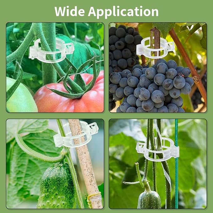 100pcs Plant Support Clips for Climbing Plants, Reusable Plastic Trellis Clips for Tomato, Grape Vine, Vegetables, Garden Fixing Clips (100, Black)