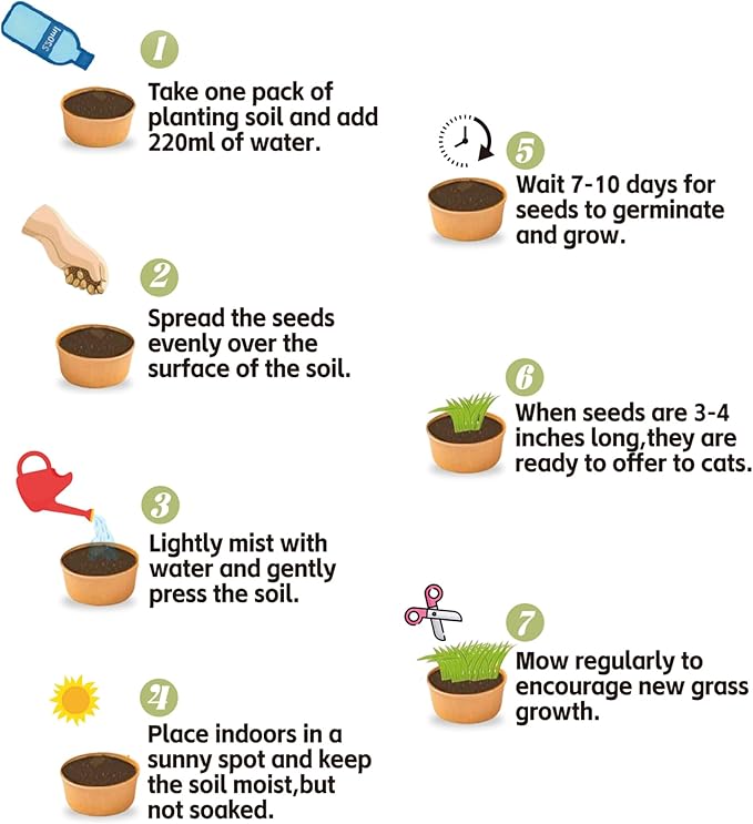 6 Pack Natural Cat Grass Seeds Growing Kit, Easy Growing Pet Grass for Cat & Kittens Indoor Garden, Fresh Cats Grass Set for Chewing, Quick Germination, Ideal for Beginners, Pet Safe