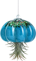 H&D HYALINE & DORA Handmade Blown Glass Hanging Jellyfish Air Planter for Live Succulent Air Plants (No Plants)