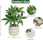 Artificial Money Tree Plant, Small Fake Potted Plants in Ceramic Pot, INS Tabletop Decor Accessories for Office, Side Table,Nightstand, Entryway,Bathroom, Living Room, Coffee Bar