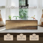 5 Pack Bonsai Tree Kit with Complete Tools, 5X Unique Seeds Bonzai Tree Kits, Indoor Bonsai Starter Kit with Wooden Box, Perfect Christmas Garden Gift for Mom, Men, Women, Plant Lover