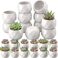24 Pack 2.5 Inch Mini Succulent Plant Ceramic Pot with Drainage Hole, Small Pineapple Clay Garden Planter for Succulents, Cactus, DIY Easter Spring Craft Activity(White,Fashion)