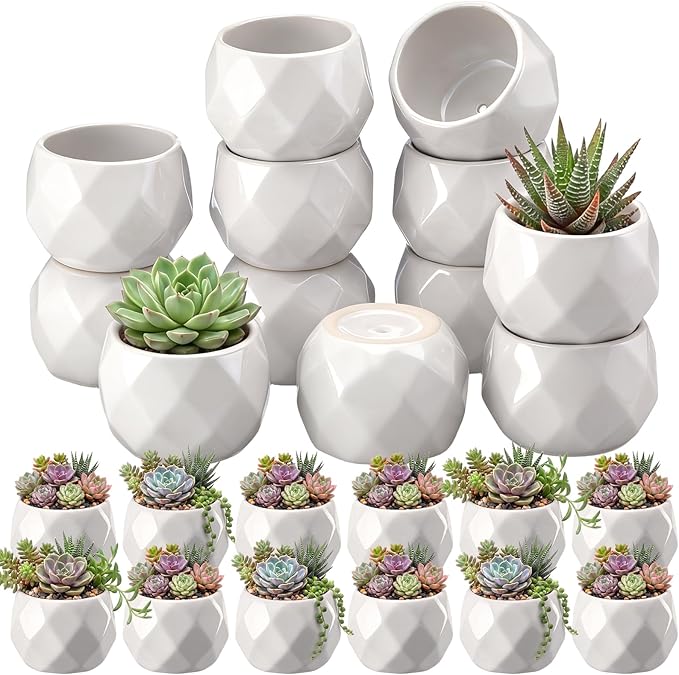 24 Pack 2.5 Inch Mini Succulent Plant Ceramic Pot with Drainage Hole, Small Pineapple Clay Garden Planter for Succulents, Cactus, DIY Easter Spring Craft Activity(White,Fashion)