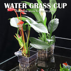 12 Pack Top Hanging Fish Tank Plant Pot Clear Aquarium Plant Holder with Hook Aquatic Plant Cup Holder Aquarium Aquatic P-lant Pot Water Landscape Decoration for P-lant Water Feature Decoration
