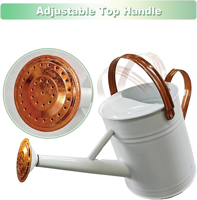 Watering Can for Outdoor&Indoor Plants，1 Gallon Metal Watering Can with with Removable Spout，Galvanized Steel Garden Flower Water Can Plant Watering Pot with 2 Handles，White