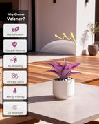 Velener 14 Inch Artificial Agave Plants, UV Resistant Fake Outdoor Plants, Small Faux Plants for Indoor Decor(Purple)-2 Pack