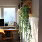 Artificial Hanging Plant 2 Pcs Faux Plant Ivy Vine Faux Eucalyptus Vines Fake Potted Greenery for Wall Living Room Home Shelf Office Bathroom Outdoor Indoor Decor (Type 4)