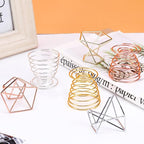 Air plant holders unique, 6pcs/pack Geometric Metal Plants Stand Airplant Container Tillandsia Holder Planter Shelves Airplants Rack Tabletop Decor for Plant Lovers(geometric + spring shape)