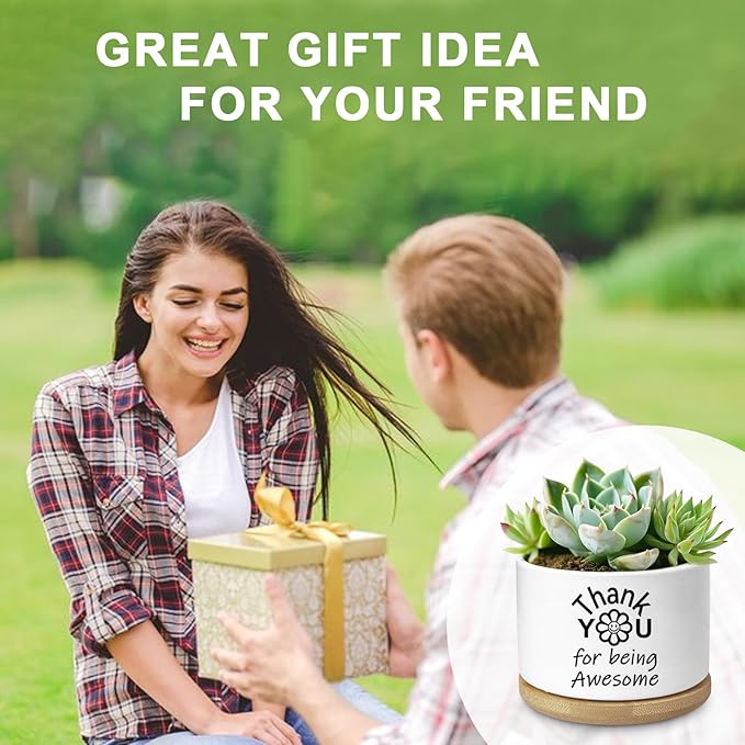 Thank You Gifts for Women, Succulent Planter, Flower Cactus Plant Pot, Employee Appreciation Gifts for Coworkers Nurse Friends Women, Thank You for Being Awesome (No Plants)