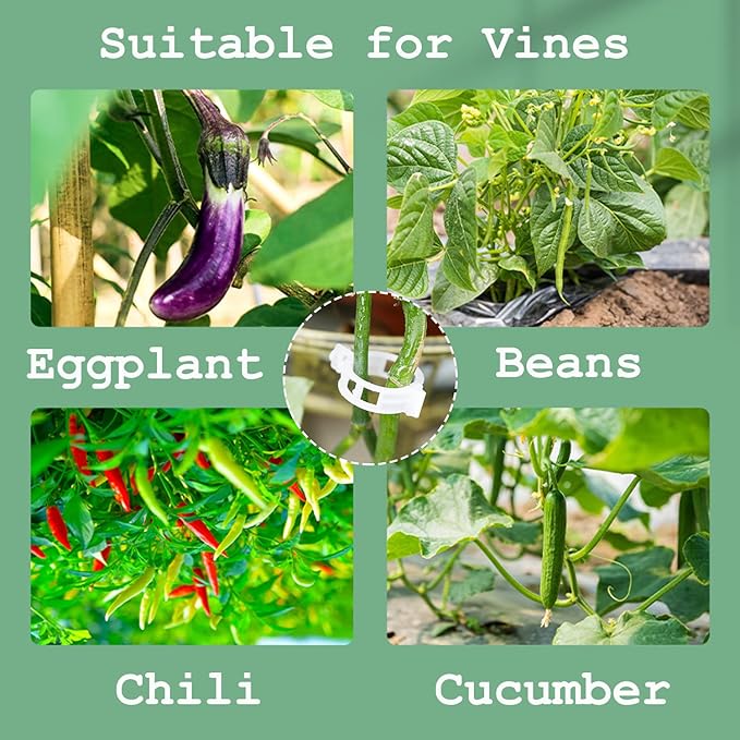 300 PCS Plant Support Clips,Garden Trellis Clips,Tomato Trellis Clips for Vine,Vegetables,Beans,Fruits,Rose to Grow Upright and Healthier