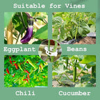 300 PCS Plant Support Clips,Garden Trellis Clips,Tomato Trellis Clips for Vine,Vegetables,Beans,Fruits,Rose to Grow Upright and Healthier