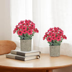 2 Pack Small Fake Plants Potted Artificial Plants Artificial Flowers Potted Faux Flower Daisy with Eucalyptus Leaves for Home Decor Office Room Farmhouse Indoor Table Bathroom Decor（Magenta）