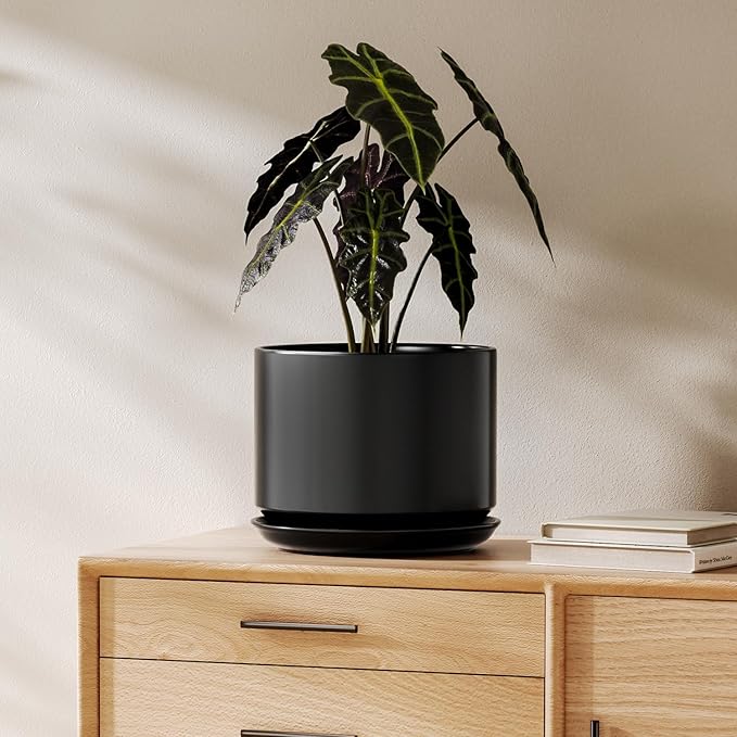 LE TAUCI Ceramic Pots for Plants, 8 Inch Plant Pot with Drainage Hole & Saucer, Modern Minimalist Planters for Indoor Plants, Round Flower Pot for Snake Plant, Monstera, Perfect for Home Decor, Black