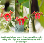 XINHUIDALSQ 60 PCS Low-Pressure Plant Training Clip, 90 Degrees Plant Stem Trainer, Plant Training Clips Plant Bud Bender, Gentle Plant Clips(Red)