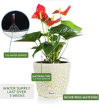 Dexceder 11x10 Self Watering Planter (White Gold Crackle) | Inner Pot Design, Thickened Table Flower Plant Pot with Water Level Indicator Indoor Outdoor