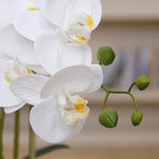 27" White Orchid Arrangement in a Grey Stonelike Planter | Real Touch White Moth Orchids in a Grey Planter by Fiori Sempre