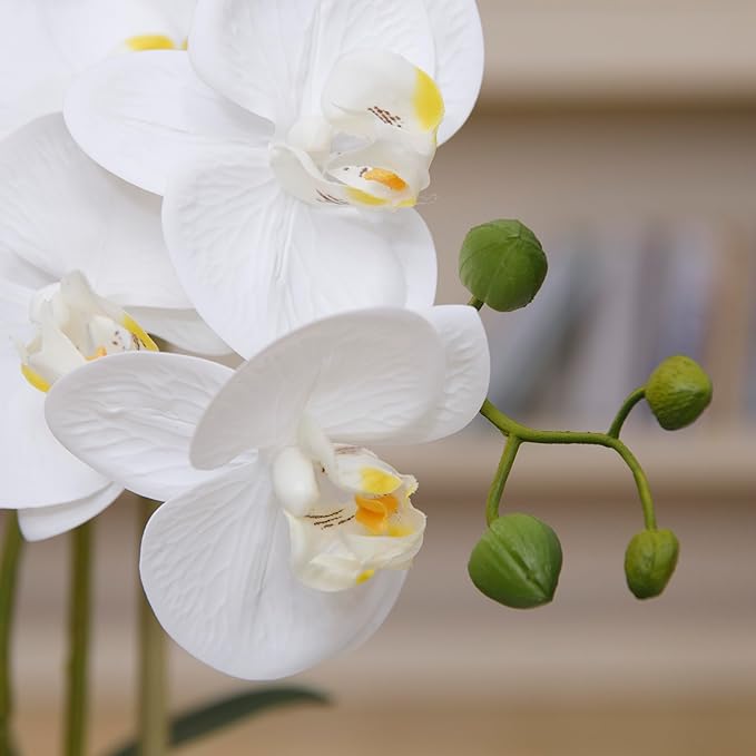 27" White Orchid Arrangement in a Grey Stonelike Planter | Real Touch White Moth Orchids in a Grey Planter by Fiori Sempre