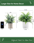 Coferset Small Fake Plant Fern Potted Artificial Plants for Shelf Desk Home Bathroom Farmhouse Room Office Kitchen Farmhouse Coffee Table Decor