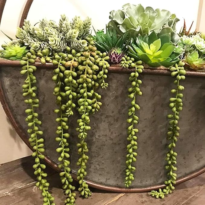 6pcs Artificial Fake String of Pearls Plant Faux Fake Hanging Succulents Plants (6, Green)
