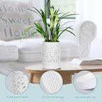 mwellewm Orchid Pot with Holes Ceramic Plant Pots Indoor Outdoor Flower Pots for Repotting with Drainage and Saucer 4 Inch Breathable Slotted Orchids Planter (White)