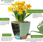 Self Watering Pots for Inoor Ourdoor Plants 10/9/8/7/6.5 Inch Plastic Planters with Drainage Holes & Water Level Indicator, Decorative House Flower Nursery Planting Pots with Saucers (Green)
