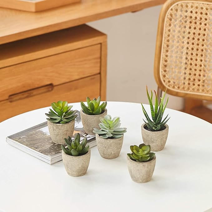 Artificial Succulents Plants Potted Set-Decorative Fake Succulent Plant Faux Plastic Plant Indoor &Outdoor for House Office Desk Bathroom Kitchen DIY Decor Gift Set of 6