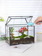 REDHUGO Handmade Glass Planter Terrarium with Lid, Indoor Tabletop Centerpiece Display Box Modern Decor DIY Gift Plant Terrarium Container for Succulent Cacti Air Plants Flower (Black)
