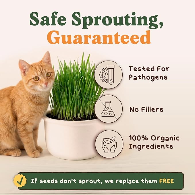 Seedboy Organic Cat Grass Seeds for Planting, Non-GMO Wheat, Oat, Rye, and Barley Cat Grass for Indoor Cats (16 oz)