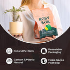 Rosy Soil Cactus and Succulent Potting Soil Mix for Houseplants - Fast Draining Organic Potting Soil for Succulents, AloeVera, Indoor Plant - Root Boosting for Drought Tolerant Growth, Pack of 2