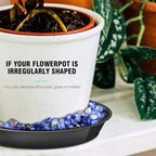 6 Pack Plant Saucer 12 14 16 18 20 22 Inch Plastic Plant Tray, Sturdy and Durable Flower Pot Container Accessories Plant Pot Saucers for Indoor and Outdoor (18 Inch, Black)