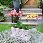 10 * 4.3 * 4.3Inch Rectangle Ceramic Orchid Pot with Holes & Saucer White Effective Drainage & Ventilation for Indoor Orchids ﻿