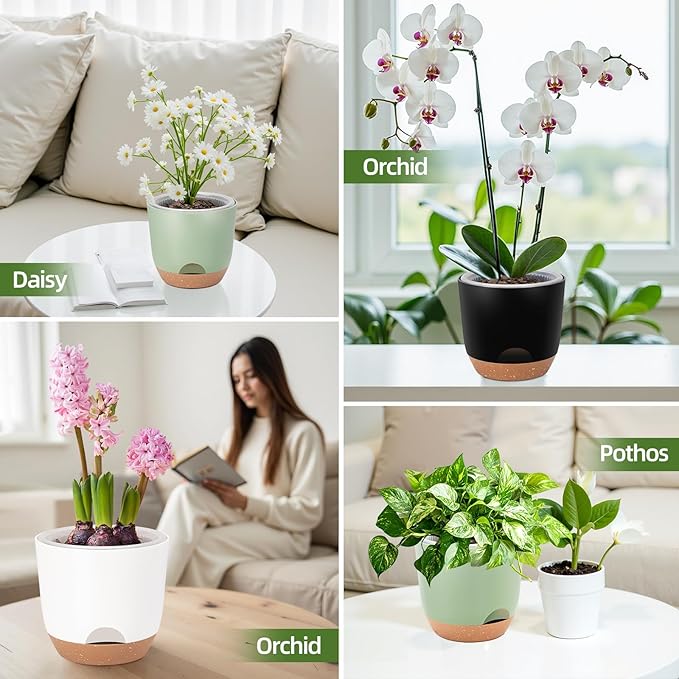 Self Watering Orchid Pots for Indoor Plants,5.8 Inch Macetas para Orqudeas,Flower Pots for Indoor Plants with Holes(White)