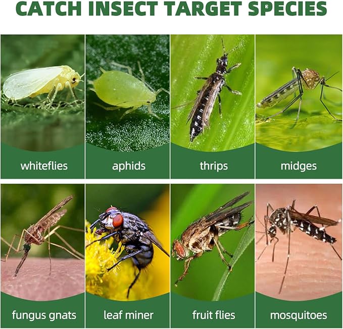 58 Pack Flying Insect Traps for Plants – Yellow Sticky Traps for Gnat, Fly & Flying Bug, Indoor Outdoor Flying Bug Catcher for Pots, Garden & Kitchen, Kid & Pet Safe, Non-Toxic (58 Pcs Ice Cream)