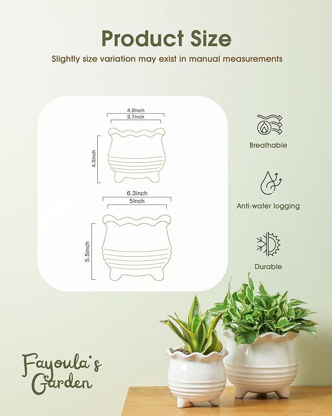 Fayoula Ceramic Planter, 2 Piece Ceramic Planter Set with Drainage Hole for Home and Office, Indoor Plant Potting, Suitable for Succulents, Bonsai, Snake Grass and Money Tree, etc. (White)