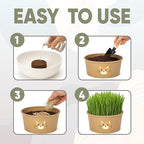 Cat Grass Kit for Indoor Cats – x3 Seed Packets | Cat Grass Seeds with Recyclable Planter & Coconut Coir Expanding Soil Discs – Wheatgrass Grass