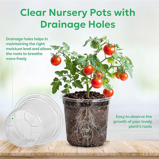 Bluepro 30 Packs 5 Inch Reinforced Clear Nursery Pots with Drainage Holes, Transparent Plastic Plant Pot Seedling Planter for Vegetable Propagation, Root Cutting, Seed Starting