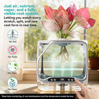 Aeroponics Growing System with Grow Light & Humidifier - Smart Indoor Garden, Visual Root Observation, RGB Mood Lighting, for Plants, Mushrooms - Desktop Hydroponic Planter