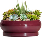 Succulent Pots - 8 Inch Bonsai Pots for Indoor Outdoor, Shallow Ceramic Planter with Drainage Hole and Saucer, Round Flower Succulent Planters, Apartment Decor, Gardening Gift, Wine Red