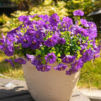 Fanfantoey Artificial Flowers for Outdoor, UV Resistant Fake Plants Outside Decoration, 14 Pcs Realistic Silk Morning Glory Faux Flowers for Porch Patio Gardens Home Decor(Purple)