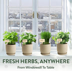 HOME GROWN Indoor Organic Herb Garden Kit, Unique Valentines Day Gift for Adults, Men, & Women,Grow 4 Herb Seeds for Kitchen Window Garden,Beginner DIY Hobby Gardening Gift for Plant Lovers, Mom & Dad