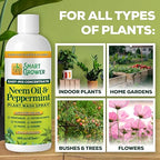 Neem Oil Spray for Plants with Peppermint Oil – for Indoor & Outdoor Plants, Gardens, & Houseplants– Best Value Refill 16 oz Concentrate Makes 2 Gallon RTU