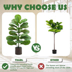 2 Pack Artificial Fiddle Leaf Fig Tree 30in, Faux Fig Trees Floor Plant in Pot Fake Ficus Lyrata Plant, Table Top Plant with Fiddle Leaves for Indoor Outdoor Home, Office, Living Room, Bathroom Decor