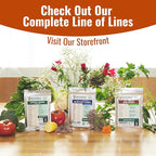 Open Seed Vault | 44 Heirloom Seed Types Variety Pack Bundle | 2026 Season | Non GMO Herbs, Vegetable and Fruit Seeds | Planting Outdoor & Indoor Garden | Gardening Starter Kit High Yield Produce