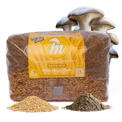 Mycelium All-in-One Mushroom Grow Bag – 6lb Sterilized Substrate with Oak, Soy Hull & Whole Oats Grain | Ready-to-Inoculate Grow Kit with Injection Port | Grow Lion’s Mane, Shiitake & Oyster Mushrooms