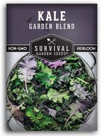 Baby Kale Seeds – Garden Blend Mix of Curly & Flat Leaf Kale – Heirloom Variety Pack for Cut-and-Come-Again Greens – Fall or Spring Planting – Survival Garden Seeds (1 Pack)