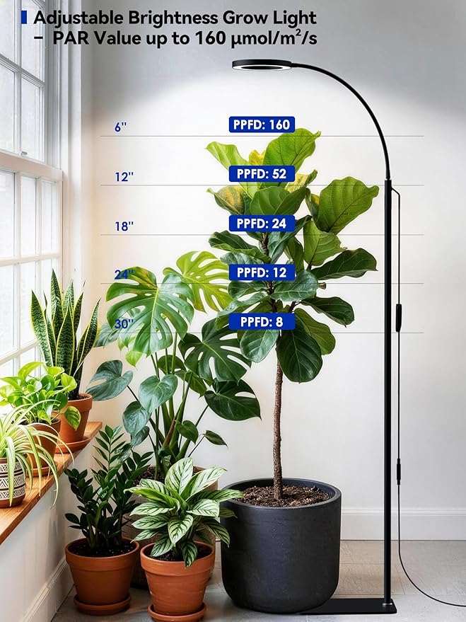 GLOWRIUM Grow Lights for Indoor Plants, Full Spectrum LED Grow Light Floor Lamp with Stand Adjustable Height and Angle, Black Plant Light with 3/9/12H Grow Light Timer (Black, 20W)