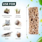 SubstrateSource Natural Cholla Wood - Driftwood for Aquariums, Air Plant Base, Hermit Crab and Freshwater Shrimp Hideout, Fish Tank Decoration, Chinchilla Chews, Reptile Habitat Wood - 4 Inch, 1pc