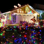 TW SHINE Outdoor Christmas Lights, 20FT 100 Count Christmas String Lights Incandescent, Waterproof Indoor Mini Christmas Tree Lights for Xmas Decorations, Multi Colored