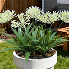 Outdoor Artificial Flowers for Porch 18.9 in Fake Plants 8 Bundles Plastic White Flower Large Faux Greenery for Outside Planter Yard Patio Decor