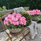 CITYES 3 Pcs Artificial Geraniums Flowers Silk Geraniums for Outdoors UV Resistant Pink Artificial Geranium Bush Faux Flowers Plant for Planter Garden Home Decor Indoor Patio Vase Table Centerpiece